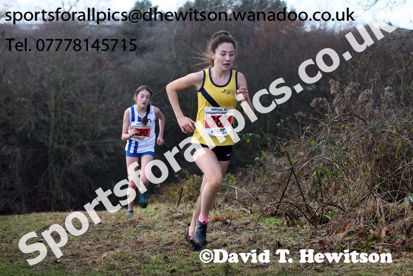 Girls under-15s North Eastern Cross Country, Aykley Heads, Durham. Photo: David T. Hewitson/Sports for All Pics